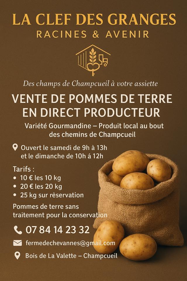 2025.09.19 Pommes de terre Champcueil