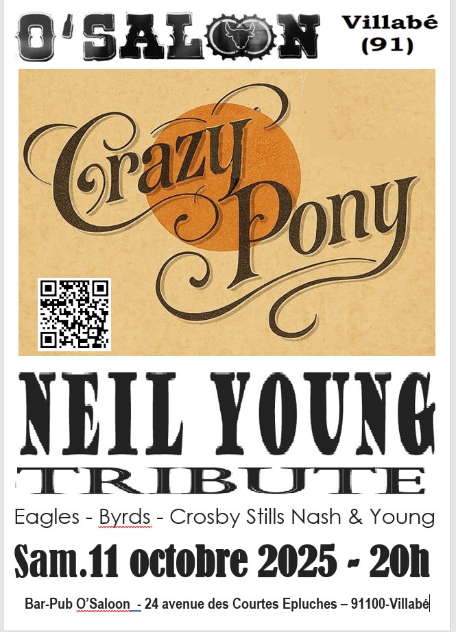 2025.10.11 flyer crazy pony