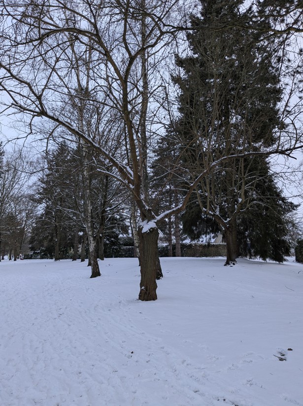 2026.01.08 photo ev 6